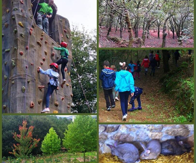 EXCURSIÓN 3º EP – FERVENZA DO TOXA