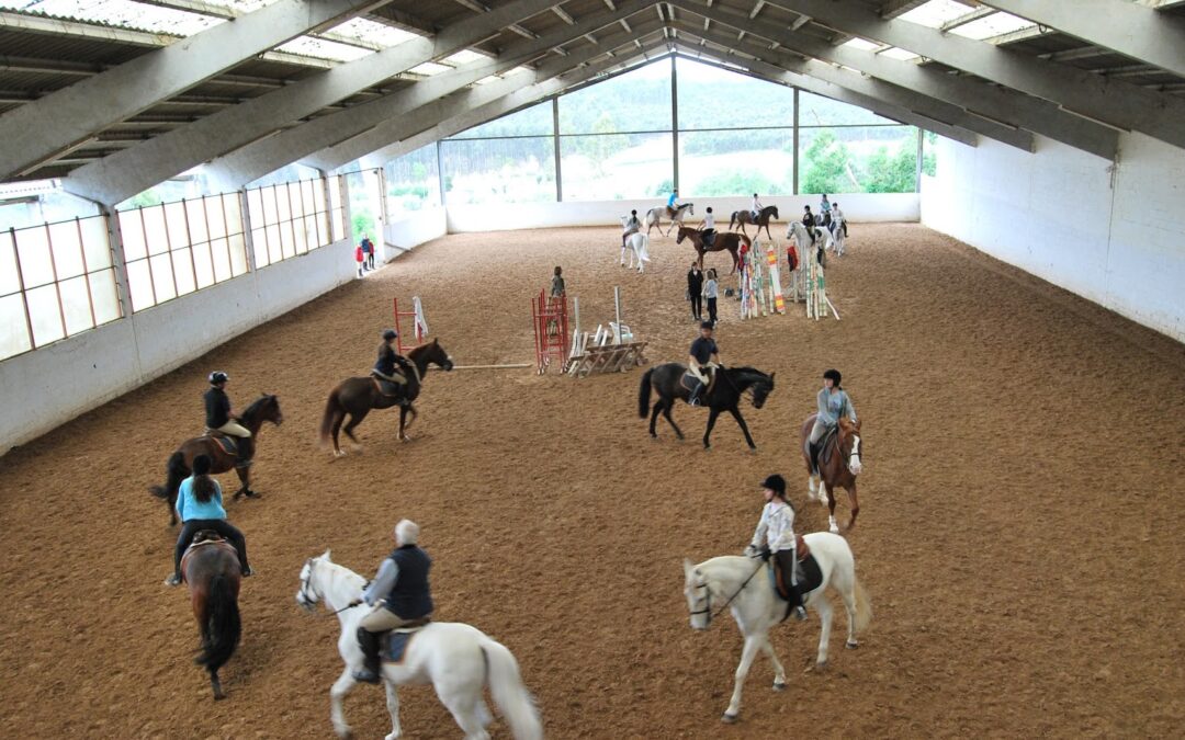 CURSO DE INICIACIÓN A LA EQUITACIÓN – SEGUNDO Y TERCER CURSO